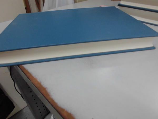 ウェスレアン聖書注解 旧約篇 第1巻 (創世記申命記)(ウェスレアン聖書注解刊行委員会 編) / 川崎書店 / 古本、中古本、古書籍の通販は