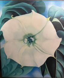 オキーフ画集「花」