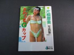 片桐摩美写真集 : さわってGカップ