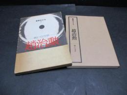 趙治勲―戦いの力学 (碁風をさぐる)