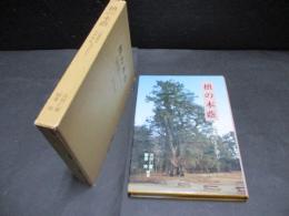槙の木蔭　小田原高女　城内高校ものがたり