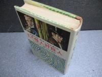 『怪盗ルパン　怪人対巨人』世界科学・探偵小説全集13