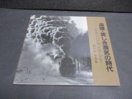 追憶・美しき蒸気の時代 : 杉江弘写真集－（付録）C51百形、全国に求めてー