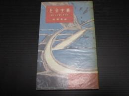 社会主義 : 古くして新しきもの ＜河出新書＞