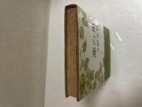 恋の巣