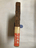 望遠鏡からの告示 : 中村宏画集