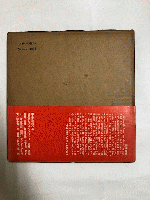 望遠鏡からの告示 : 中村宏画集