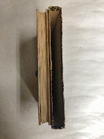 グスコーブドリの伝記