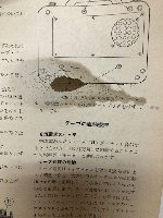 サービス（テレビ・ラジオ・家庭電化器具の）　創刊号～21号の内、17号欠　20冊
