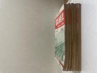 電気車青年 創刊号～15号、18号～20号 18冊 本誌のみ、附録は有りません