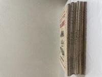 電気車青年 創刊号～15号、18号～20号 18冊 本誌のみ、附録は有りません