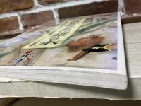 別冊太陽　 武井武雄の本  童画とグラフィックの王様