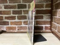 季刊水墨画 No.100　画聖・雪舟の謎