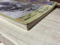 季刊水墨画 No.100　画聖・雪舟の謎