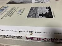 別冊一枚の繪 Vol.47　古沢岩美 　エロスと修羅餓鬼