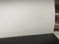 谷中安規と料治熊太　『白と黒』の仲間たち（図録）