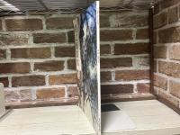 中國畫名家作品粹編　趙之謙畫集