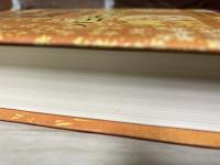 バニヤンの木陰で