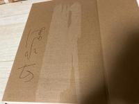 カフカの『変身』まで　　 オイディプス的野望とその挫折