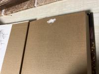 カフカの『変身』まで　　 オイディプス的野望とその挫折