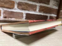 ボローニャの大実験  都市を創る市民力