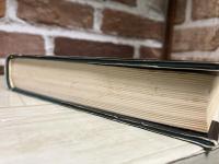 ドイツ文学案内 　 (世界文学シリーズ）