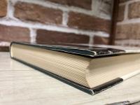 ドイツ文学案内 　 (世界文学シリーズ）