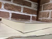 泣虫聖母マリヤさま  狂気を贖うイエスさまの十字架