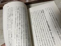 泣虫聖母マリヤさま  狂気を贖うイエスさまの十字架