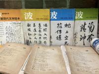 波（雑誌）　1978年～1981年　不揃い10冊セット