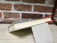 子役になってはみたけれど 小説突貫小僧一代記