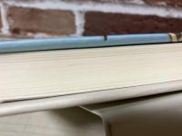 子役になってはみたけれど 小説突貫小僧一代記