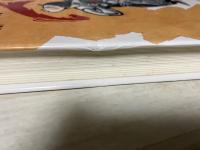 アリランのうた　　オキナワからの証言