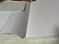 宗教的共生の思想  上智大学神学部教科書シリーズ Ⅱ