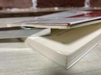 漂泊の俳人 井上井月　　角川俳句ライブラリー