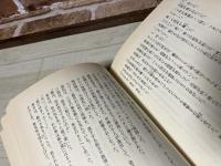 架空決戦　伊達政宗の大長征