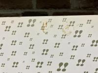 蕭白ショック　曾我蕭白と京の画家たち（図録）