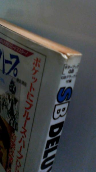 別冊ギターブックGB別冊付録（GBデラックス・ソングブック）`95 SUMMER