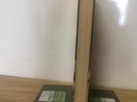 墨絵技法シリーズ７　四季の墨絵　創作のこころみ