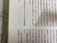 金銭貸借の基礎　実用編　基礎法律学体系15