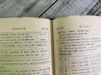 改訂新版　正誤問題の徹底的研究　活用英文法