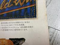 写真で見る日本プロ野球史
別冊週刊ベースボール冬季号