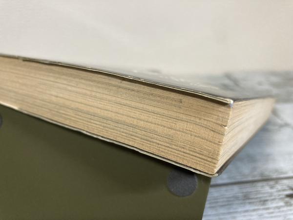 どぶさらい劇場(山野一) / 古本、中古本、古書籍の通販は「日本