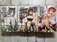 境界線上のホライゾンⅣ（上・中・下）Ⅴ（上・下）Ⅶ（上・中・下）8冊揃い