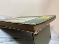 初歩の電波工学　実用電気工学新書