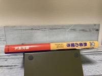 熱帯の闇市