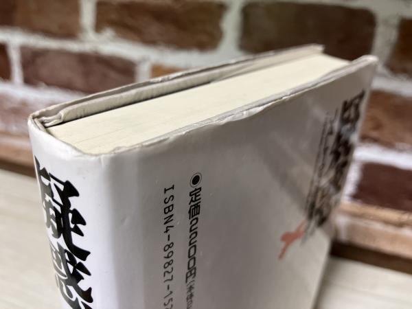 疑惑 JAL123便墜落事故 このままでは520柱は瞑れない(角田四郎 疑惑 JAL123便墜落事故 このままでは520柱は瞑れない(角田四郎