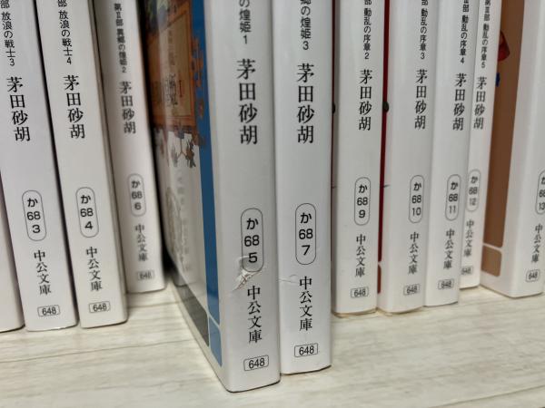 茅田砂胡 デルフィニア戦記 全巻 揃い 18冊 中公文庫 デルフィニア戦記Ⅰ～Ⅳ部 全18冊揃い（中公文庫）(茅田砂胡