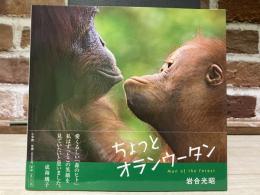 ちょっとオランウータン
