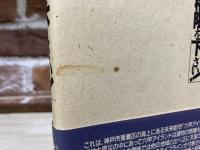 私に権限を下さい！　六甲アイランド災害対策本部の記録